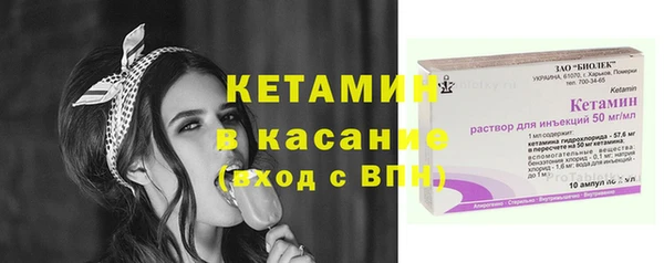 дживик Пересвет