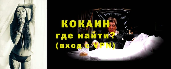 дживик Пересвет