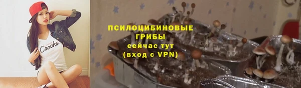 стафф Осташков