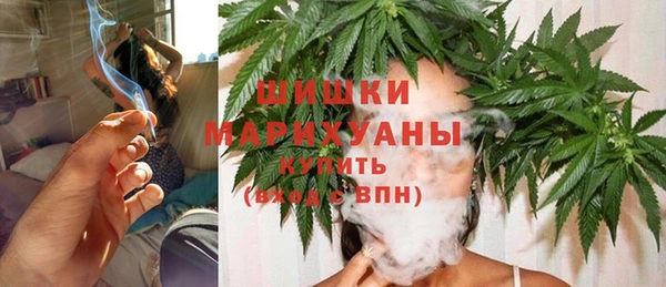 гидра Осинники